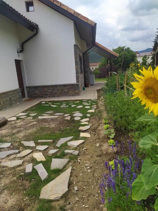 Casa Cotefablo Alojamiento Ara Gavin Biescas Εξωτερικό φωτογραφία