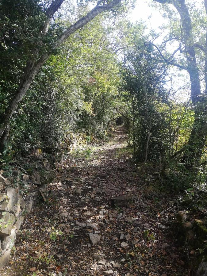 Casa Cotefablo Alojamiento Ara Gavin Biescas Εξωτερικό φωτογραφία